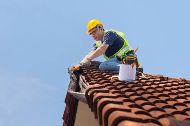 Best Gutter Installation and Repair  in New Cumberland, WV